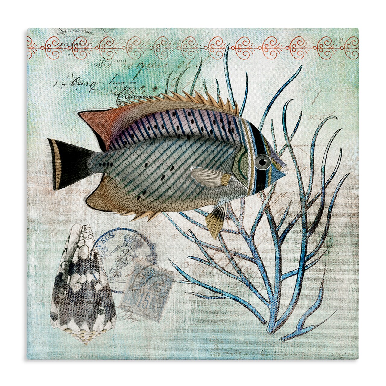 Stupell Industries Sea Life with Vintage Accents Canvas By Susan Arnot